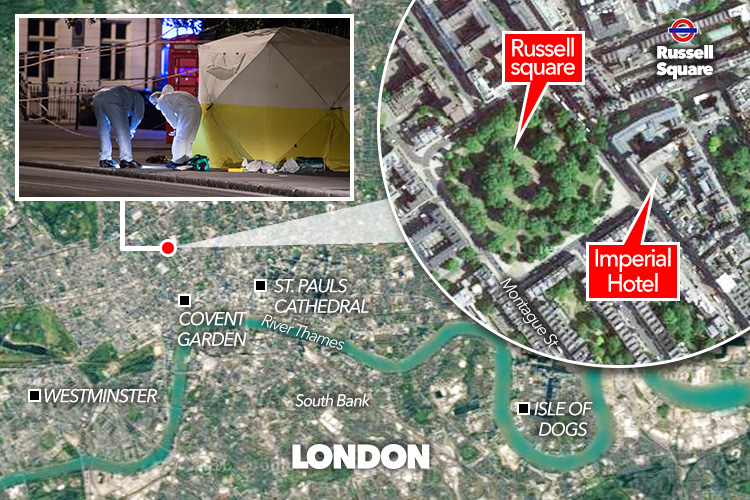 The attack took place in the Bloomsbury area of central London, just yards from Russell Square's Imperial Hotel