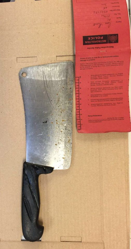 The meat cleaver was taken from the kitchen
