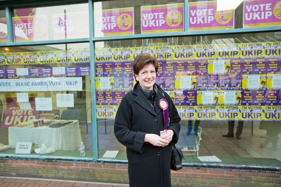 Ukip's Diane James
