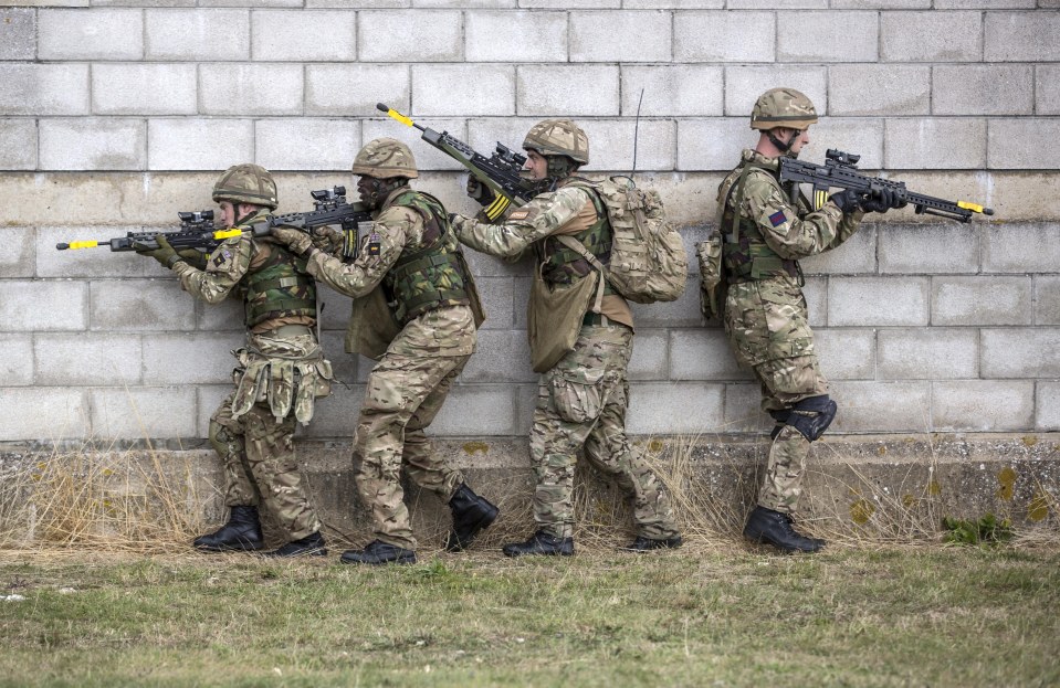 Forces heroes . . . part-time regiments are dangerously short of volunteers
