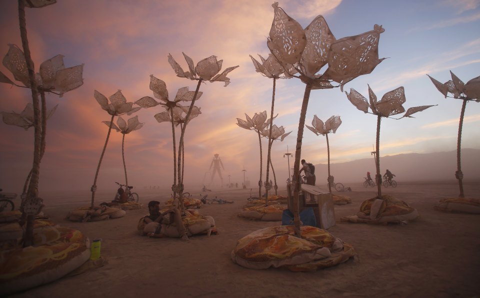 Strange ... Sculptures in all shapes and sizes litter the giant desert site