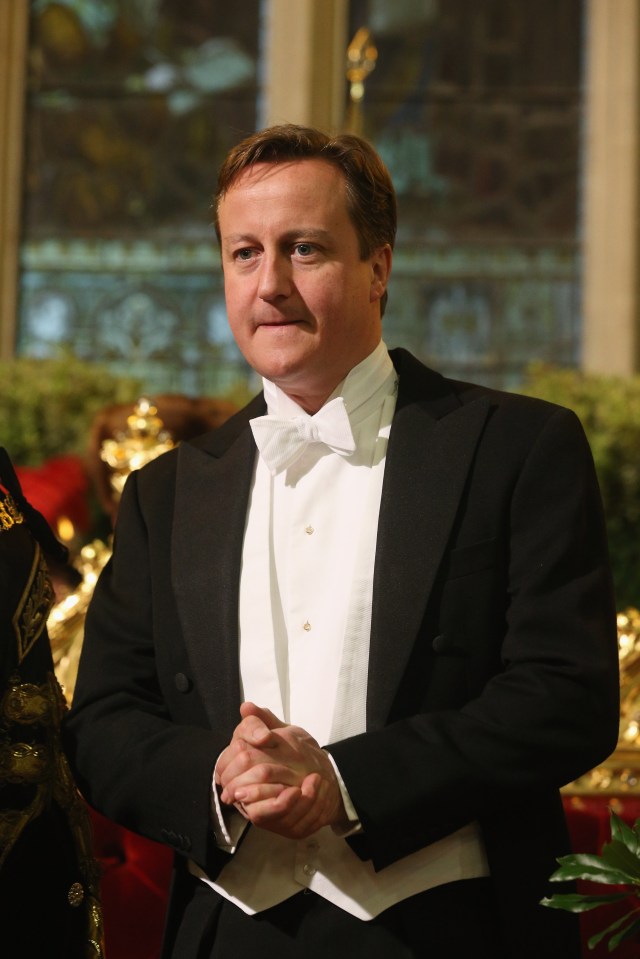Prime Minister David Cameron Attends The Lord Mayor's Banquet