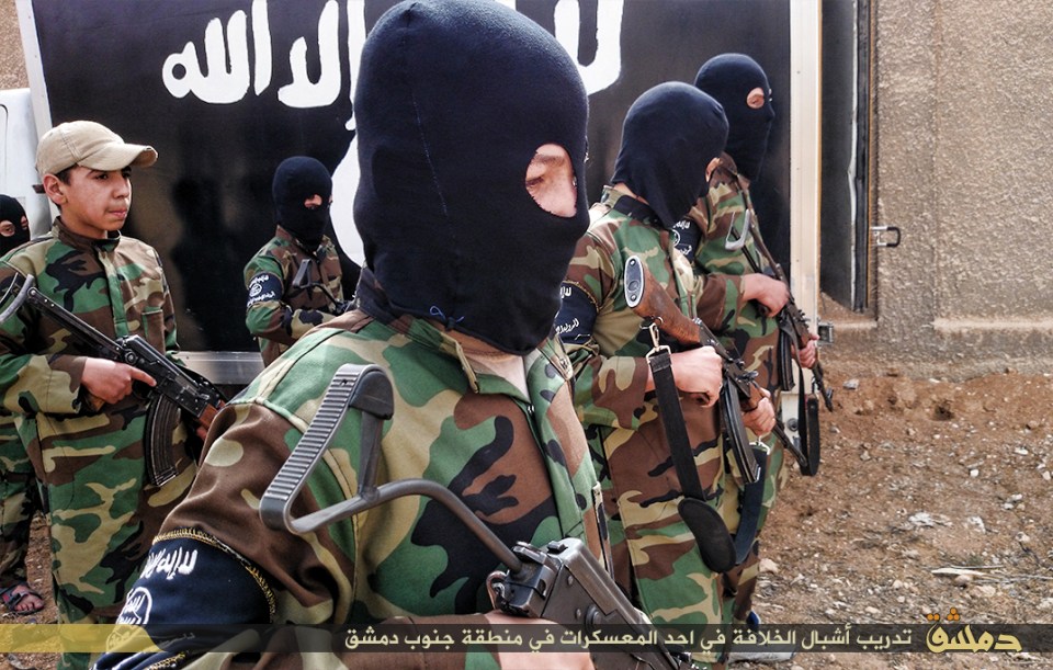 ISIS handbook 