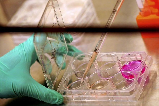 Cell Research