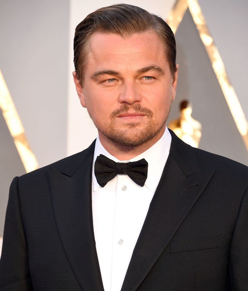 Leonardo DiCaprio lookalike 
