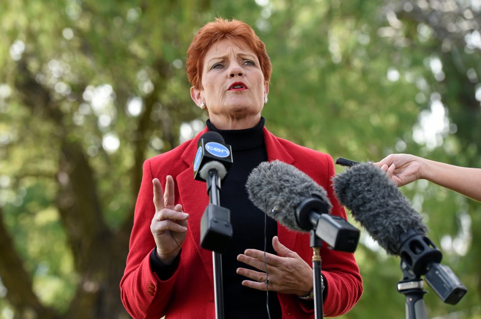  Right-wing Australian senator Pauline Hanson however supported the ban and said it should go further on Twitter