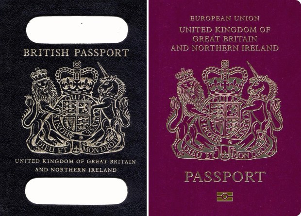 British passports