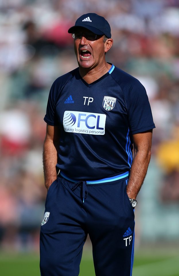 West Brom manager Tony Pulis will remain in charge following the clubs takeover by a Chinese consortium