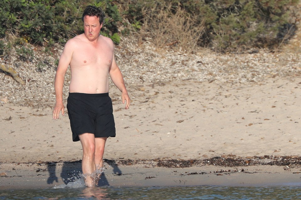 Flab time . . . Cameron shrugs off his critics at the seaside