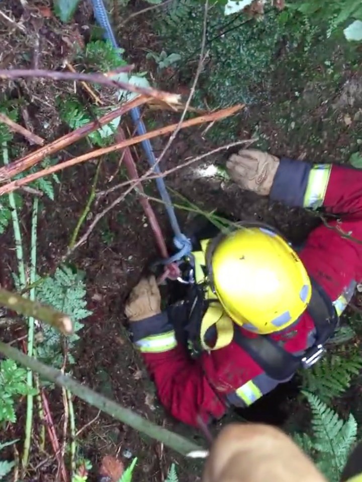 Indie was pleased to see a firefighter descending towards her as crews mounted a rescue operation
