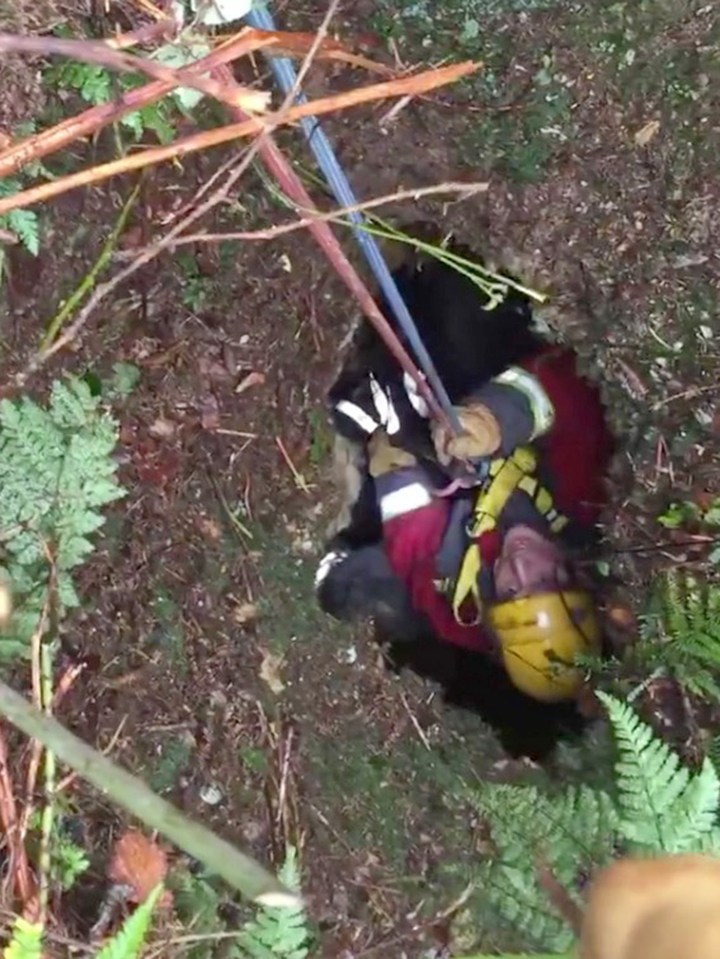 Crews used a pulley system to haul her to safety