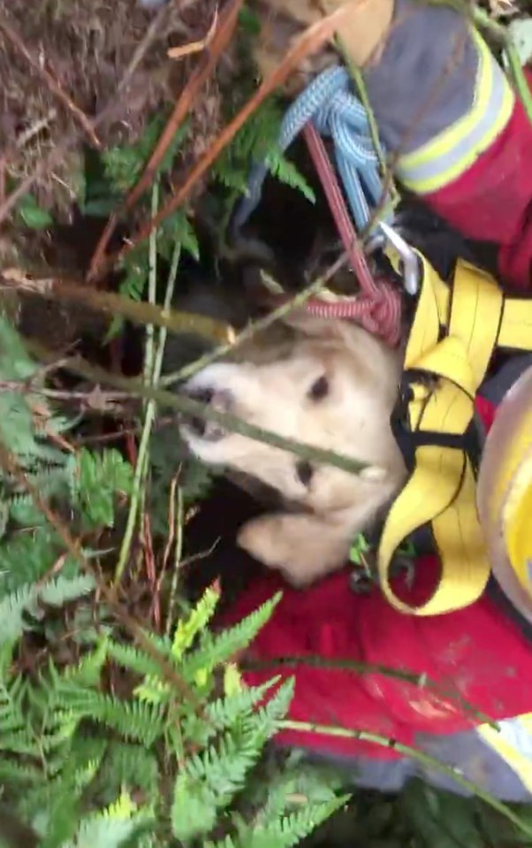She had fallen around 20 metres but was seemingly injured