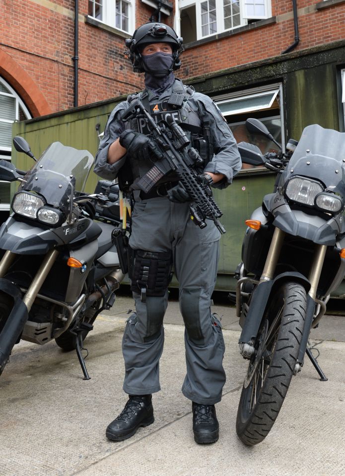 There are 15 per cent fewer armed officers now than there were in 2009 