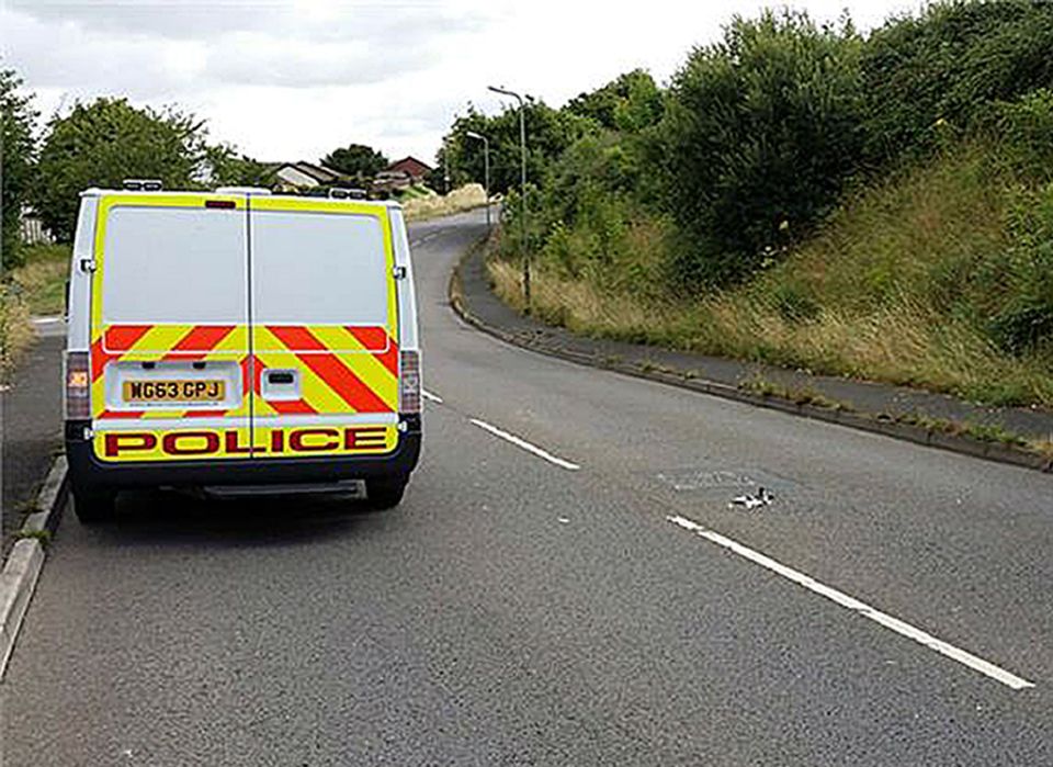 Cops are investigating a bizarre act of vandalism that saw 40 pigeons placed along a main road