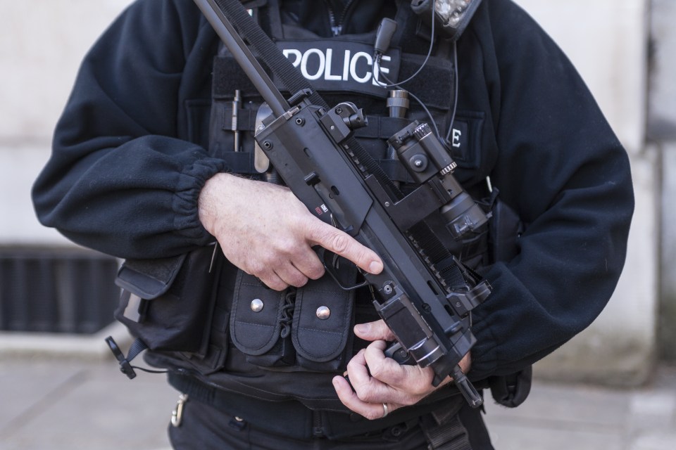 The Police Federation has warned it may take two years to get enough armed officers 