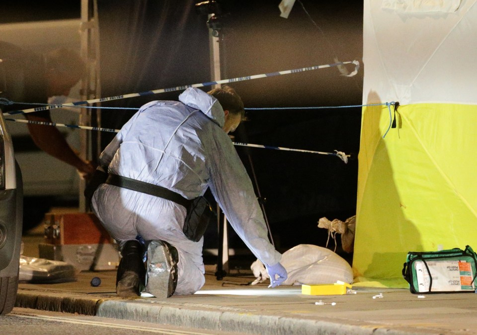 The suspect is understood to have "significant mental health issues"