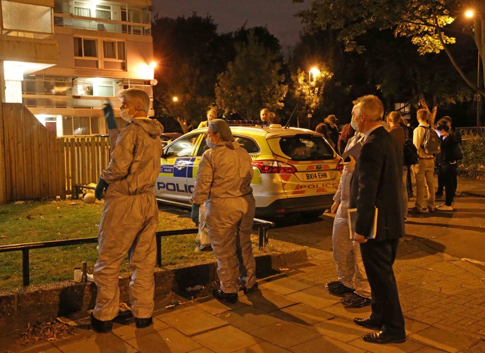 Battersea fatal stabbing