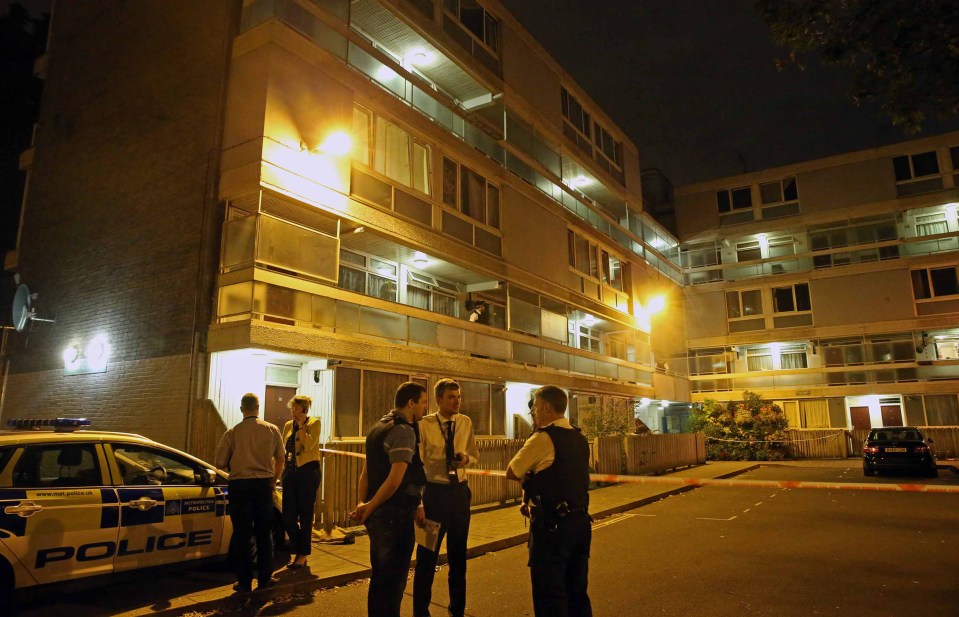 Battersea fatal stabbing