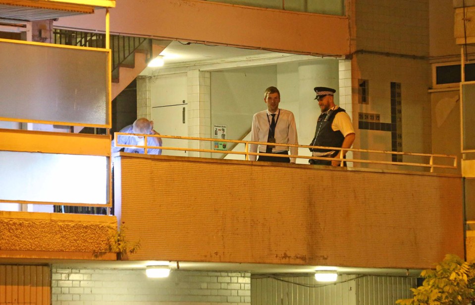 Battersea fatal stabbing