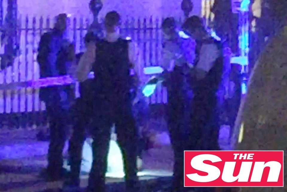 Hotel guest Chanel Britton, 19, of Barnsley, caught the action on her mobile phone in central London last night