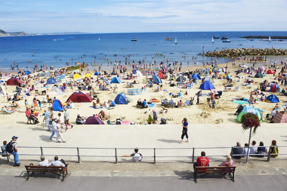 The seaside could see some of the razor toothed beasts coming closer into shore as the summer hots up