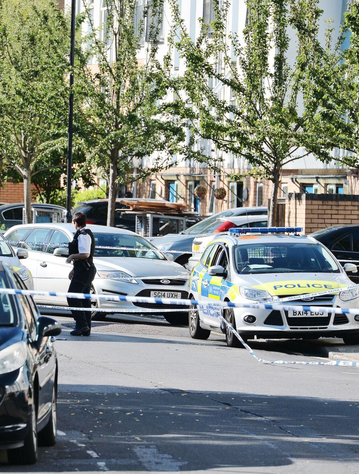It's believed a fight broke out at a property in Peckham, south east London