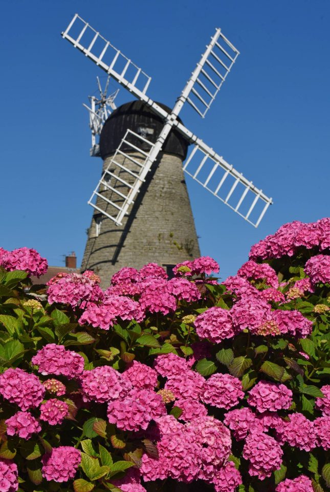 Whitburn Windmill in South Tyneside bathed in sunshine yesterday