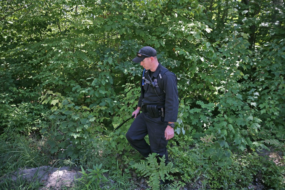 A trooper uses a knife to clear brush away as he walks through the woods as he searched for the missing Google worker
