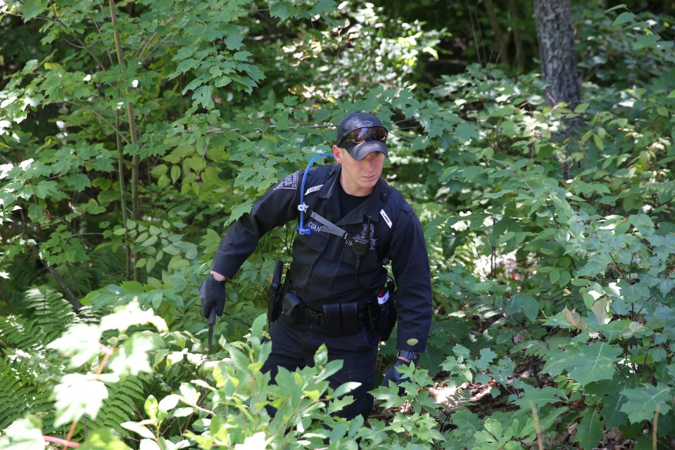 State police search an area of the woods off Boylston Street in Princeton, USA