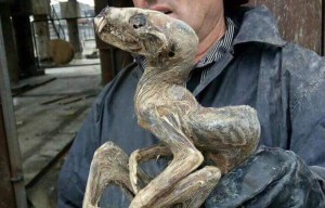 Scientists baffled by bizarre mummified 'monster' unearthed by diamond miners in Siberia