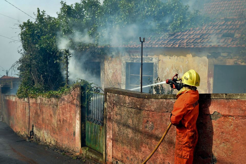 24 water-dumping planes and 955 vehicles were called in to fight 106 blazes across Portugal