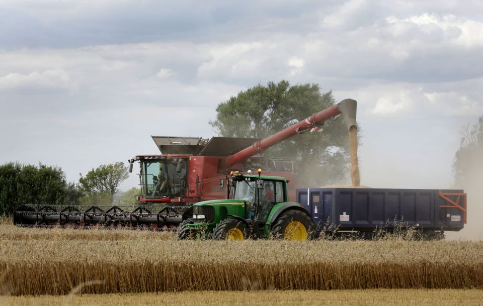Combine harvester at work