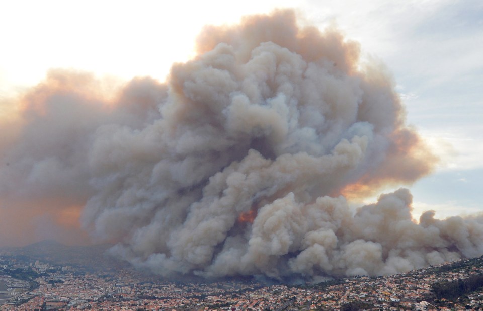 The summer heat and a lack of rain have created the perfect conditions for the flames to spread freely