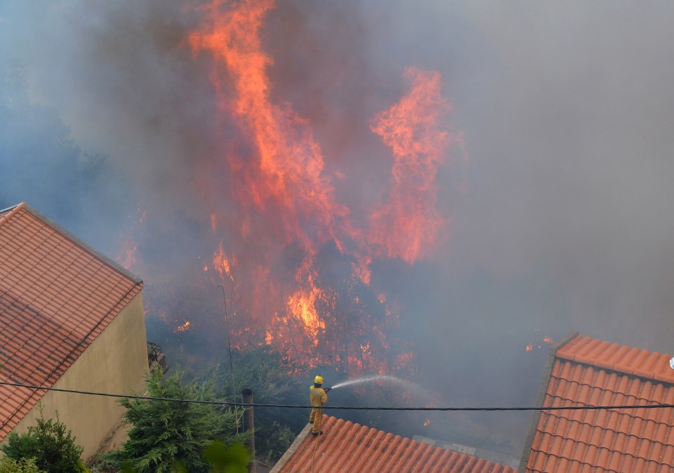 Firefighters have been battling the flames as they spread across the countryside and reached the island's capital, Funchal