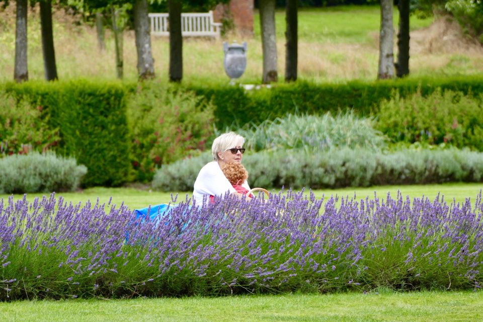 A spike in the mercury will mean sunny weather across Britain - with the exception of Scotland 