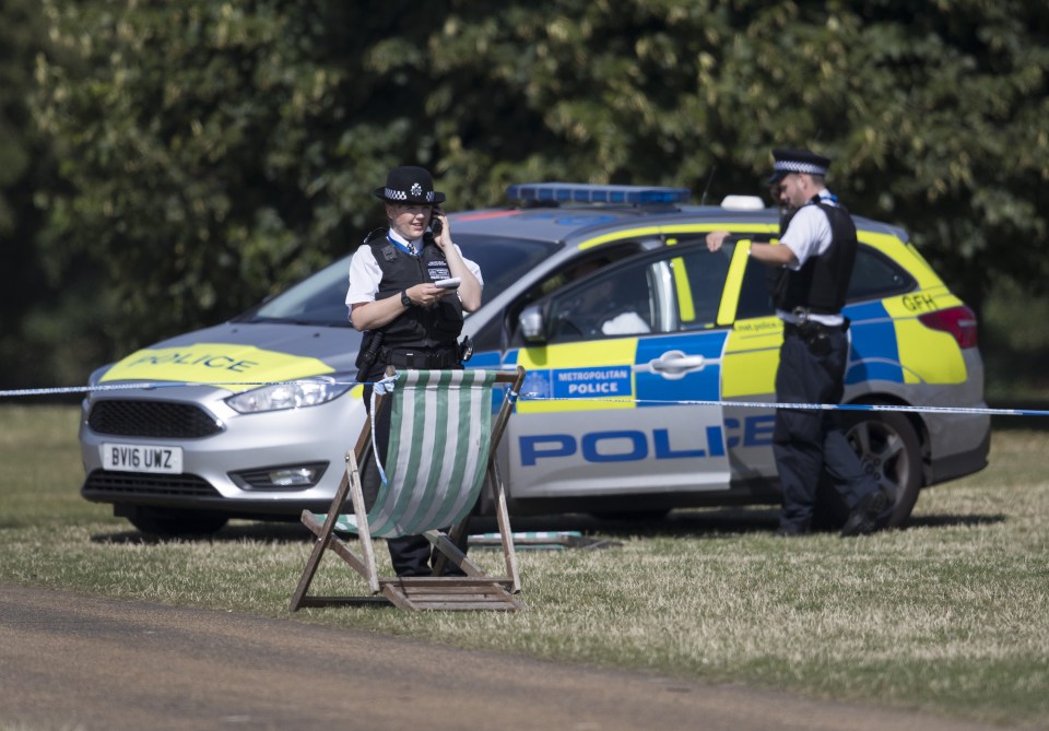 Hyde Park murder victim named