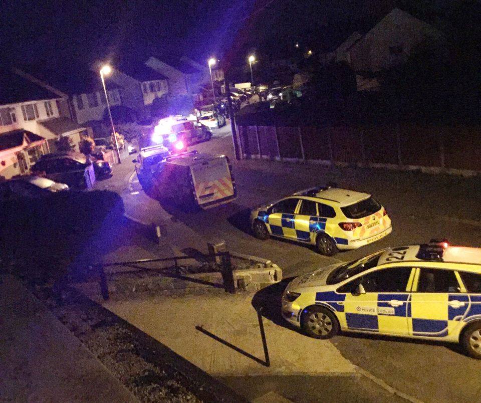 The scene after Dalian Atkinson was tasered by police early on Monday 