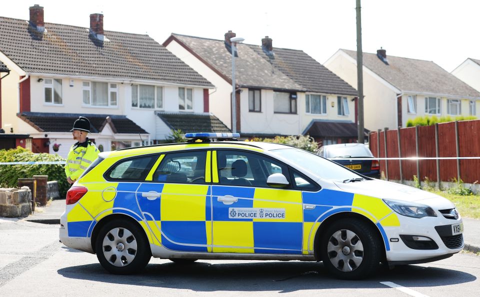 Dalian died after being tasered by police