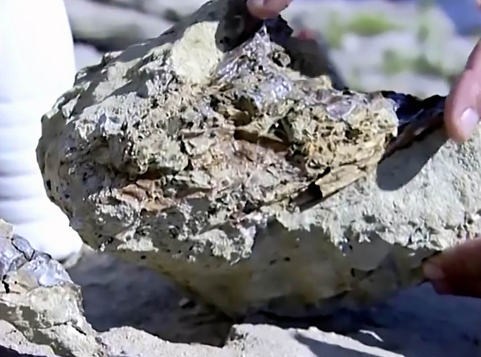 This is what's left of the dino, which lived more than 100 million years ago