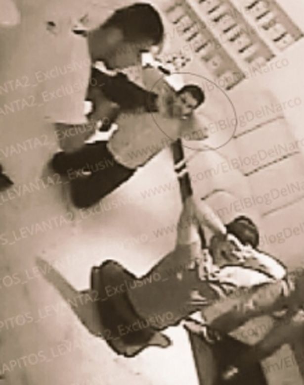 El Chapo's son, Jesus Alfredo, is then forced to kneel with guns pointed at him