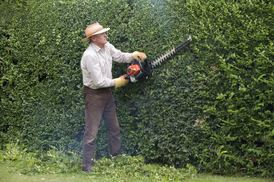 The number of over-65s still in work is steadily growing