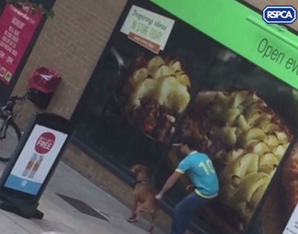 RSPCA hunting owner punching dog