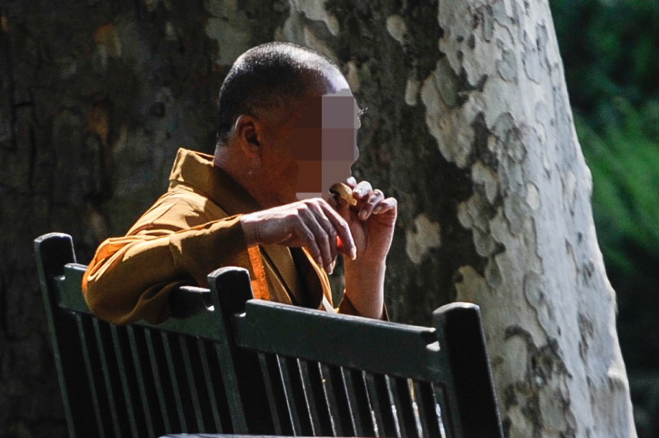 Fake monks in London