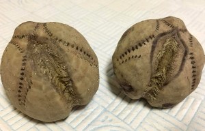 Mystery of bizarre ‘alien objects’ washed up on beaches in Devon and Cornwall solved