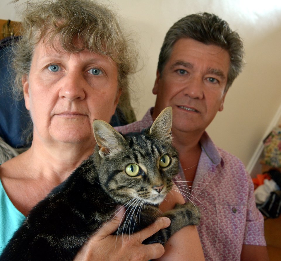 Jo (pictured with husband Gerry and her other cat Tiggy) was devastated after a cattery lost one of her pets