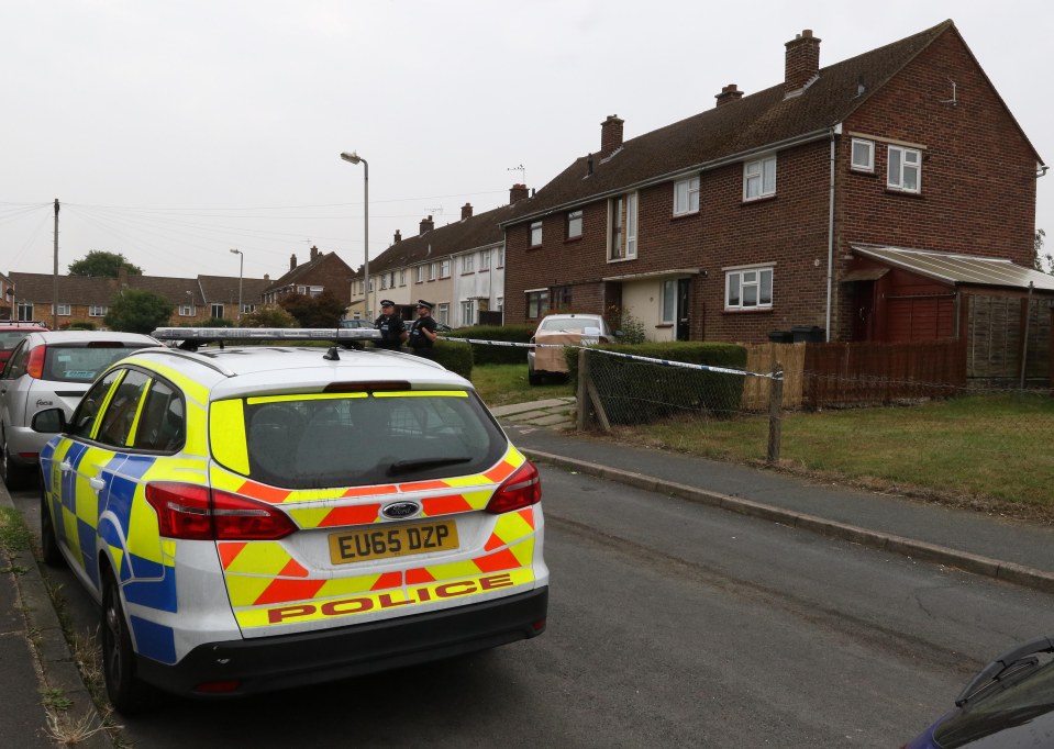 A boy has died after being mauled by a dog in Essex