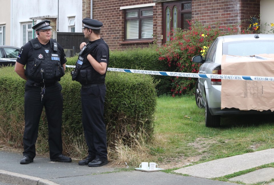 A boy has died after being mauled by a dog in Essex
