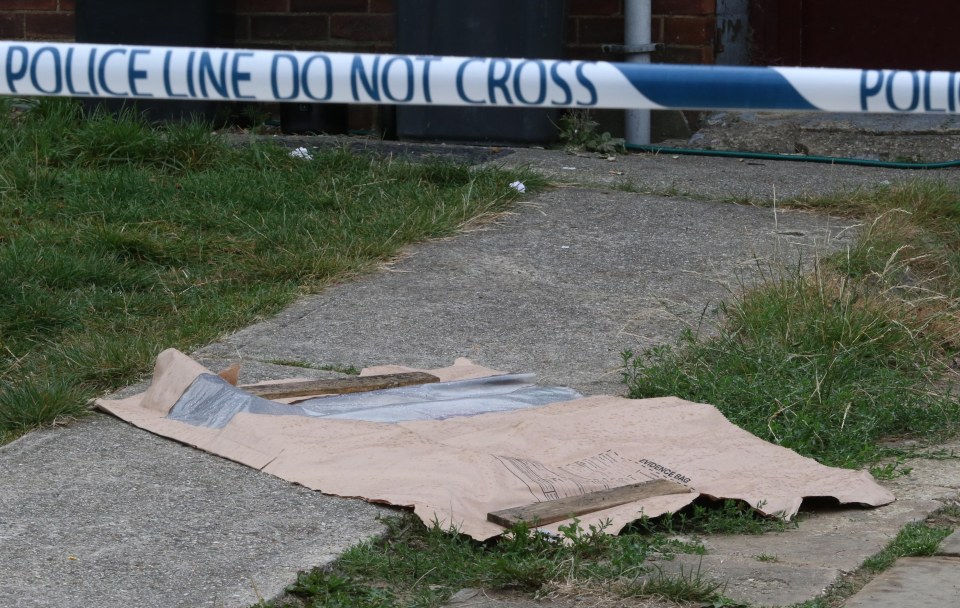 A boy has died after being mauled by a dog in Essex