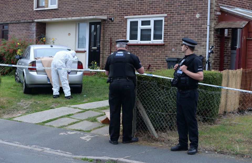 Boy killed by dog in Essex