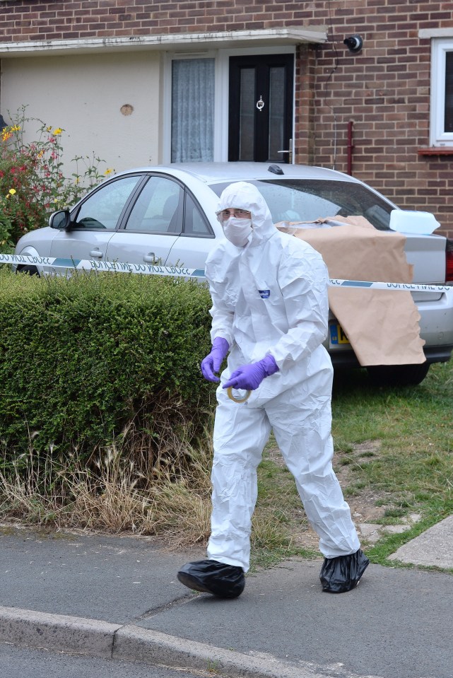 Boy killed by dog in Essex